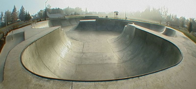 Brian Haney Memorial Skate Par
