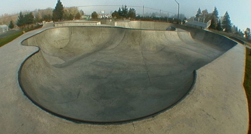 Brian Haney Memorial Skate Par