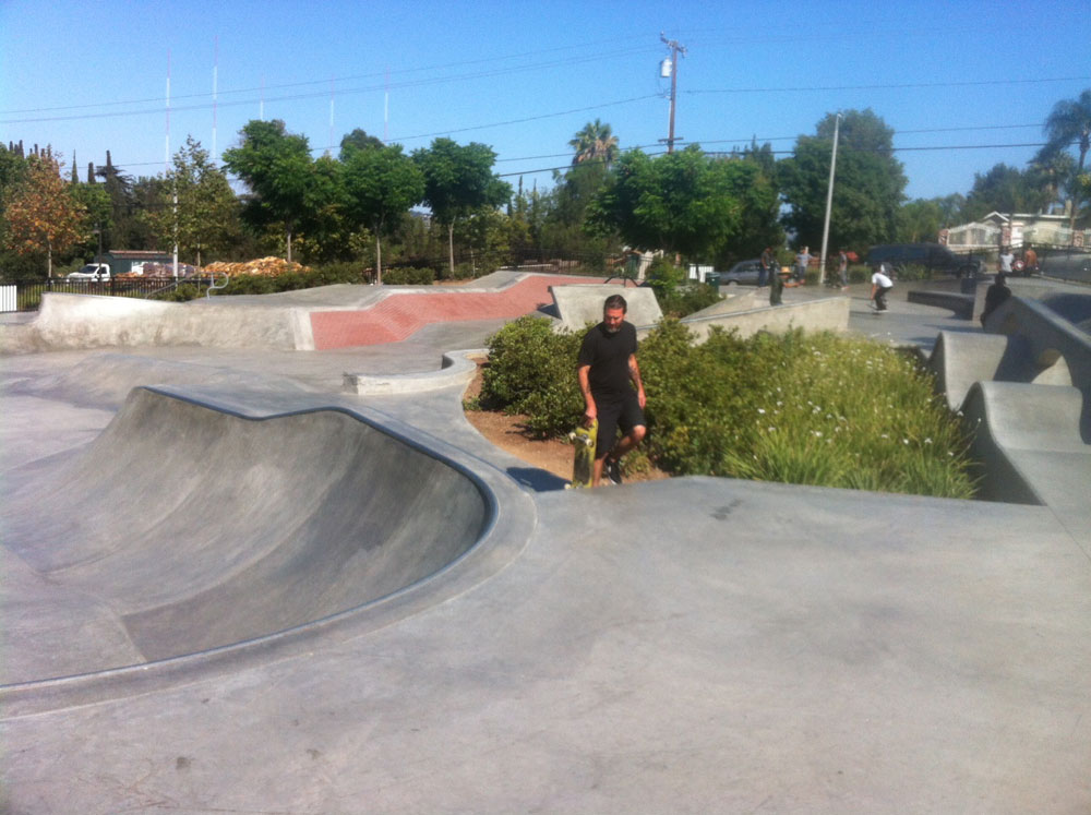 Avocado Heights Skatepark