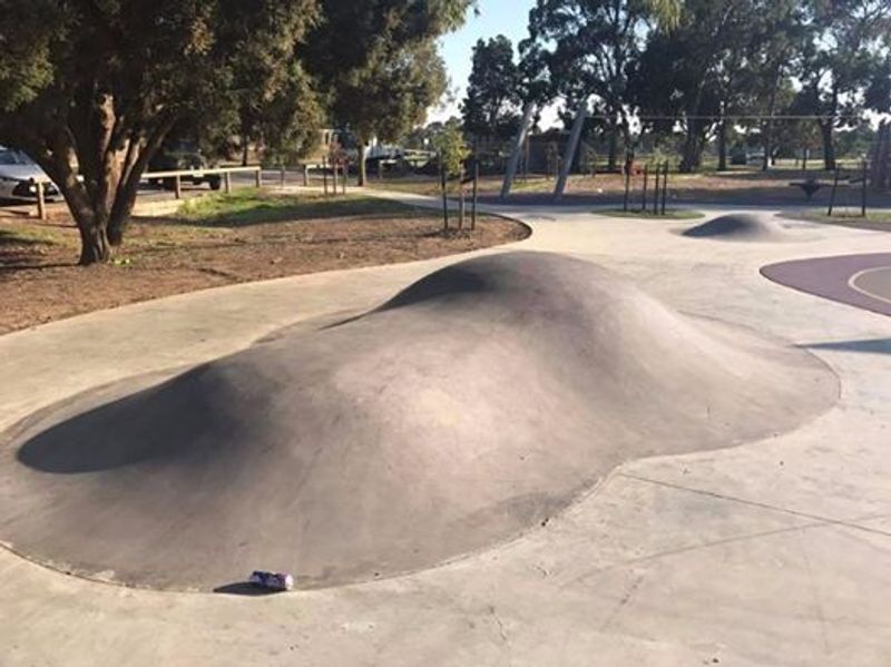 Ballam Park Bumps