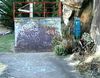 Balmain Quarter Pipe