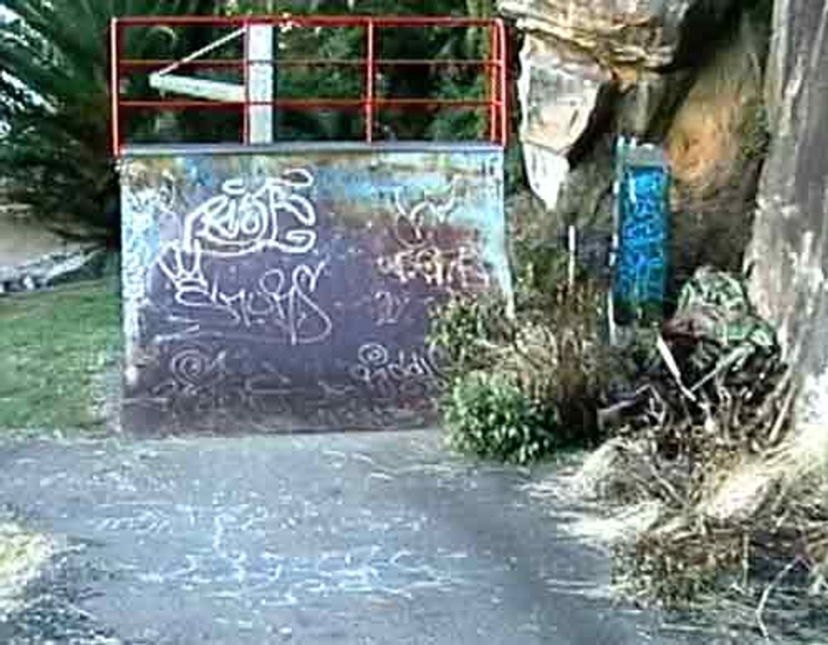 Balmain Quarter Pipe skatepark