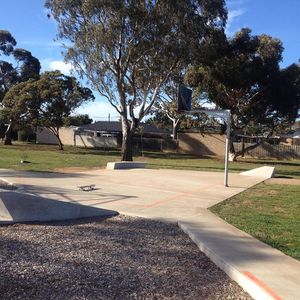 Eldan Skate Thing