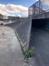 Bow Bowing Ditch
