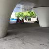 Bridge Bank