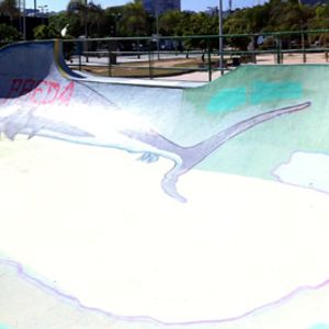 Barra Beach Bowl