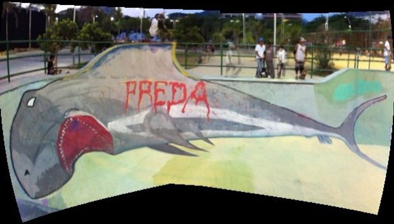 Barra Beach Bowl