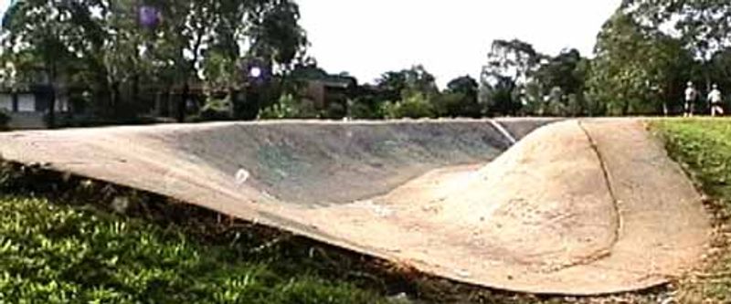 Baulkham Hills Snake Run