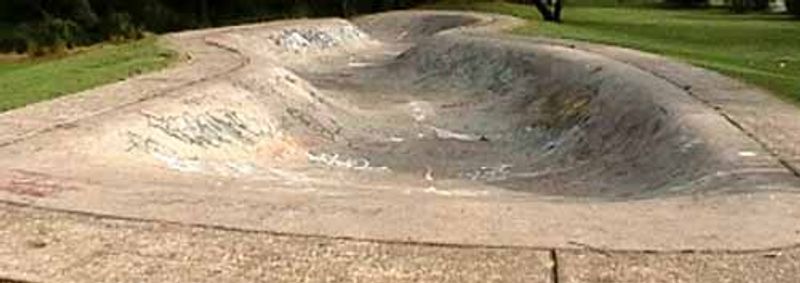 Baulkham Hills Snake Run
