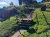 Bellingen Rail