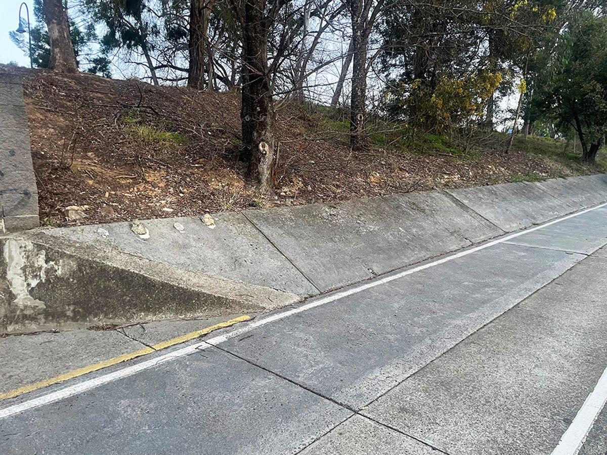 Bendigo Creek skate spot