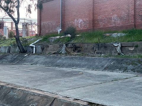 Bendigo Creek photo 4