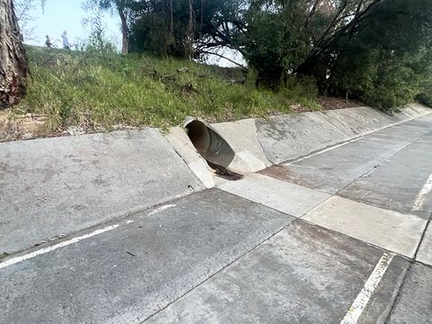 Bendigo Creek photo 5