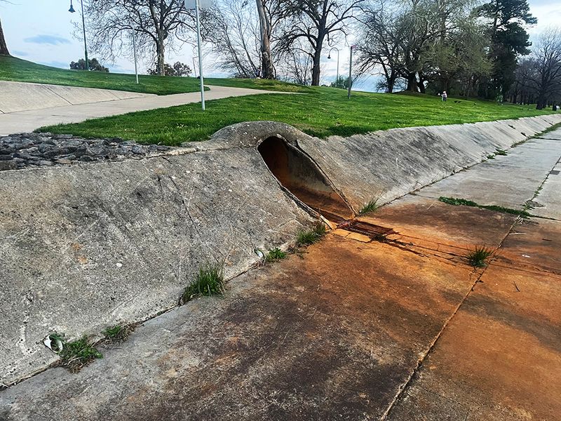 Creek Bank 