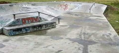 Berry Skatepark (CLOSED) photo 2