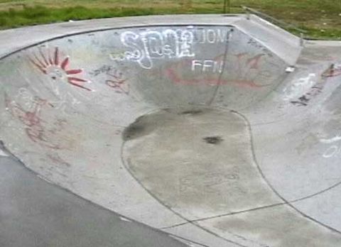 Berry Skatepark (CLOSED) photo 4