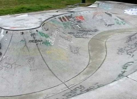 Berry Skatepark (CLOSED) photo 5