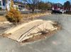 Bike Curb