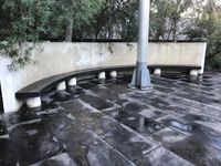 Sculpture Garden Curved Benches
