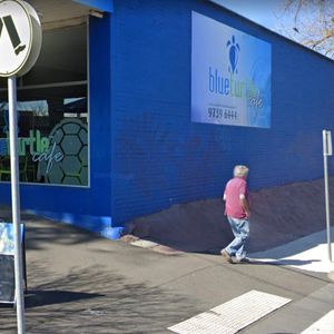 Blue Turtle Bank to Wall 