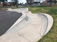 Bob Hannan Skate Thing