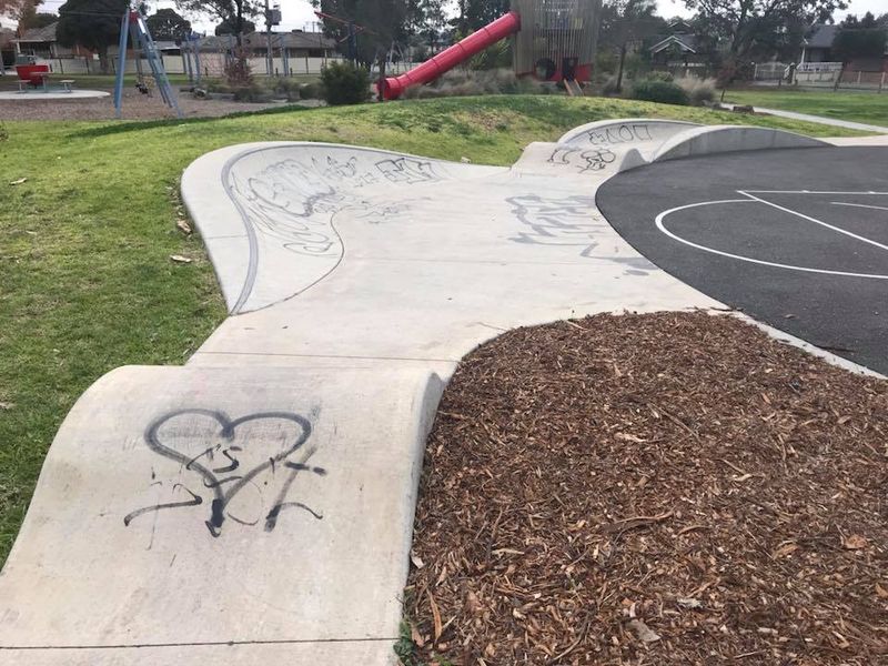 Bob Hannan Skate Thing
