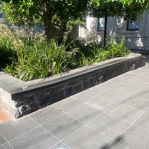 Mechanics Ledge