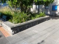 Mechanics Ledge