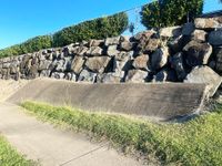 Bunnings Grass Bank