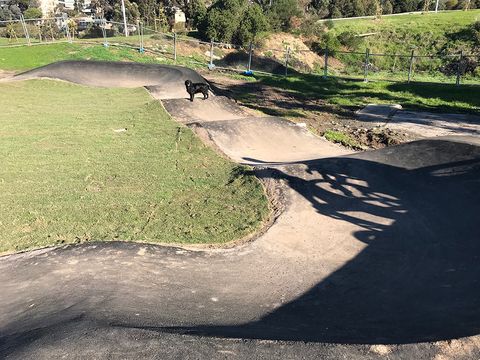 Burndap Pump Track photo 3