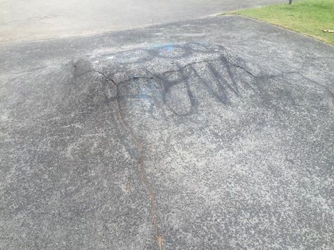 Byron Bay Bowl photo 4