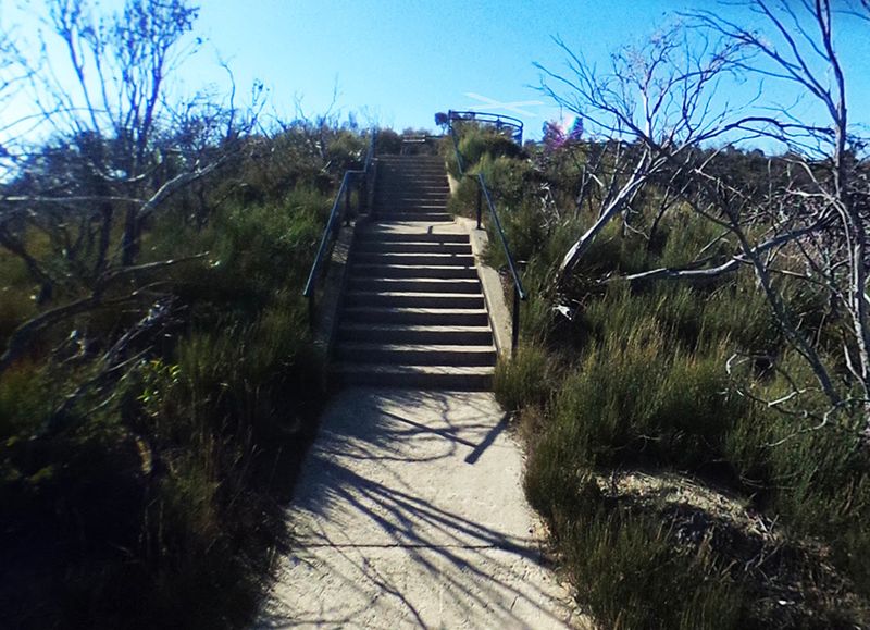 Cahill Rail