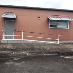 Minnie Wheel Chair Ramp