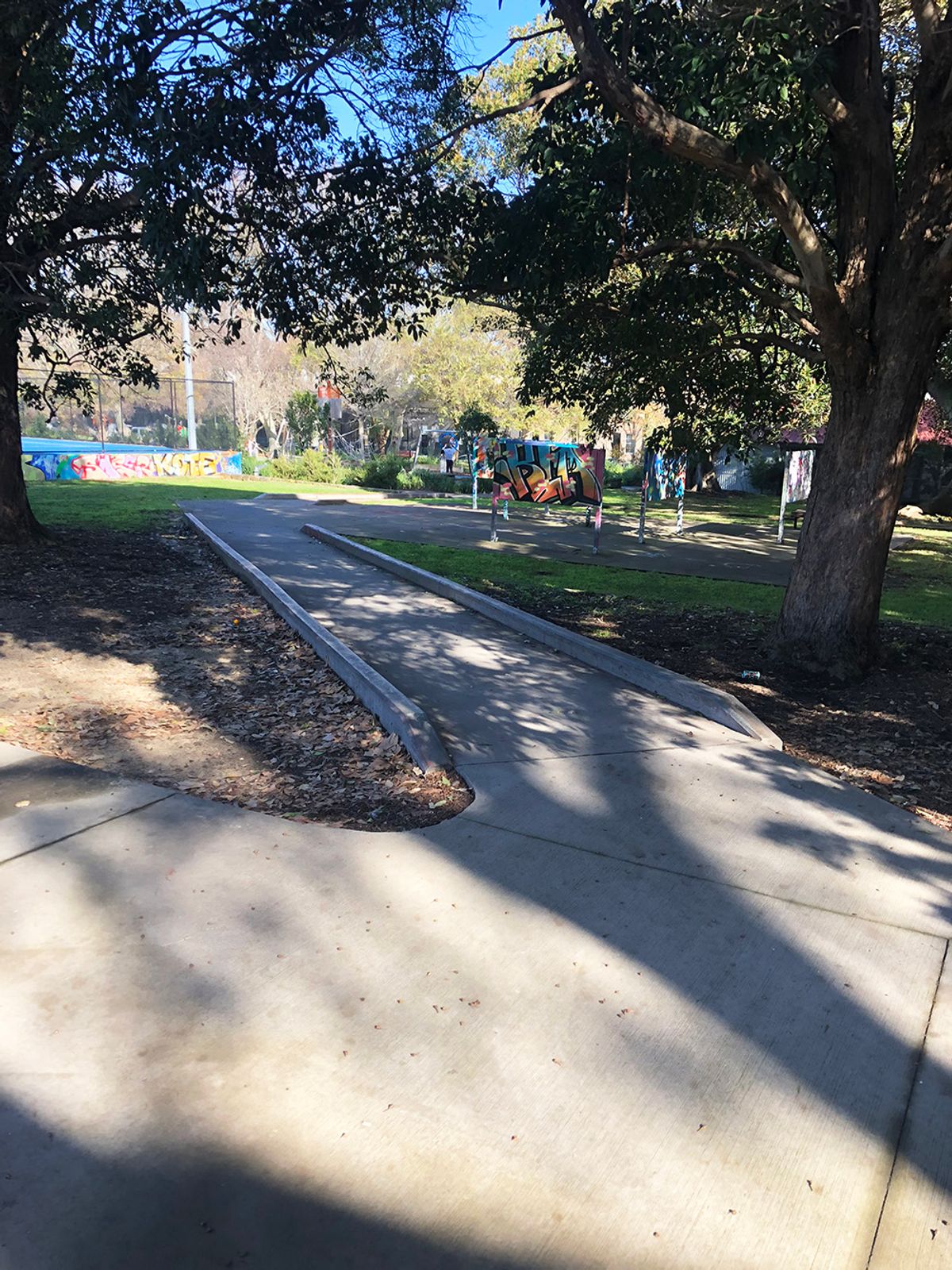 Camperdown Curbs skate spot