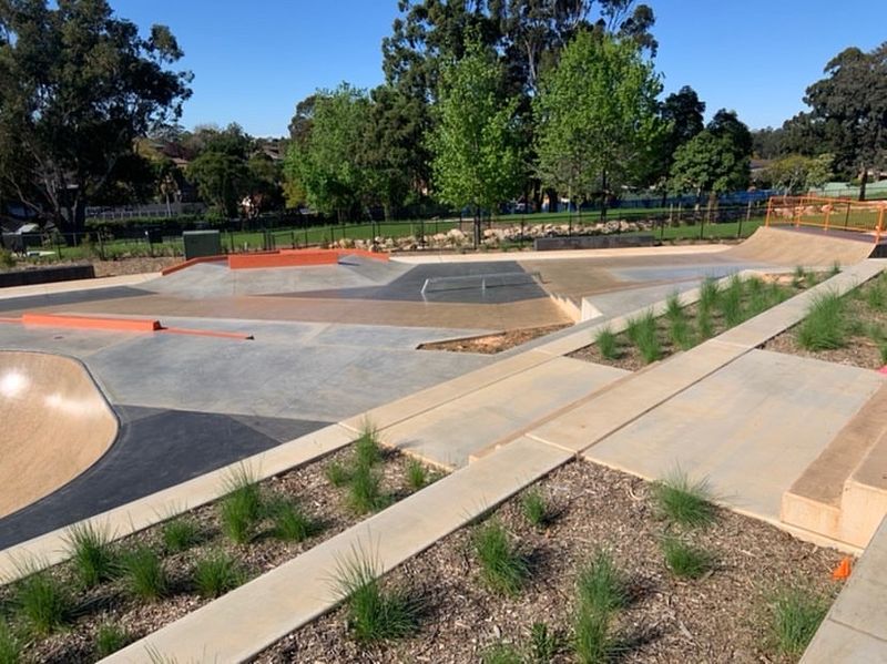 Carlingford Skatepark