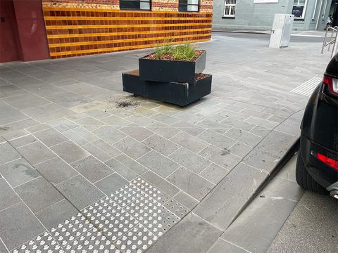 Carlton Garden photo 2