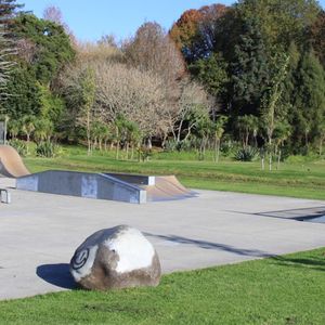 Carlton Park Skatepark 
