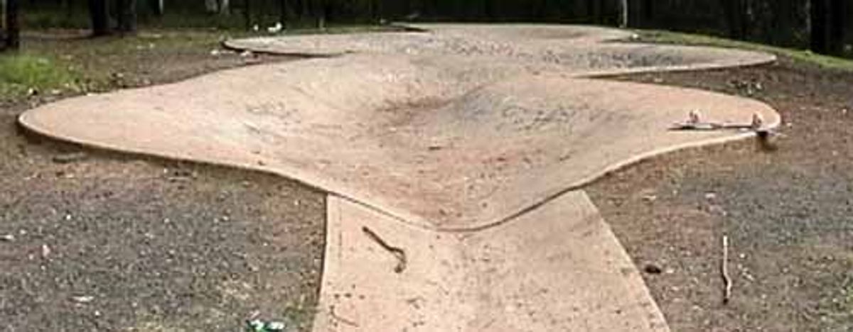 Castle Hill Snake Run skatepark