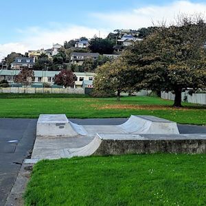 Caversham Skatepark 