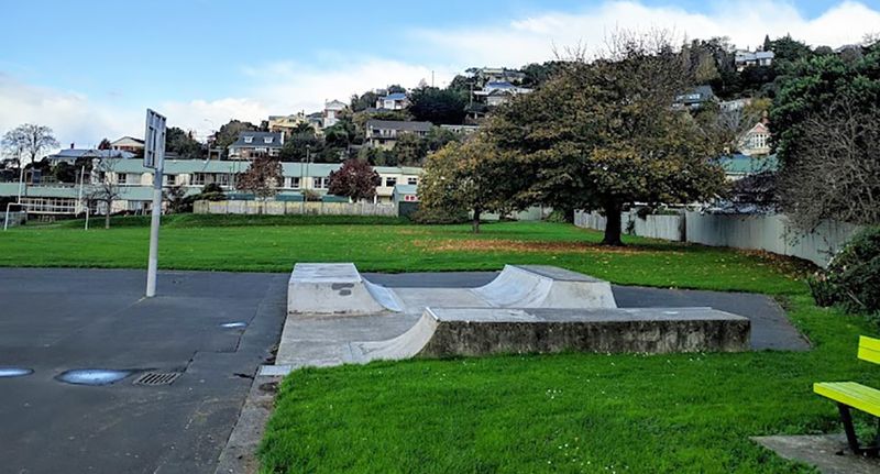 Caversham Skatepark 