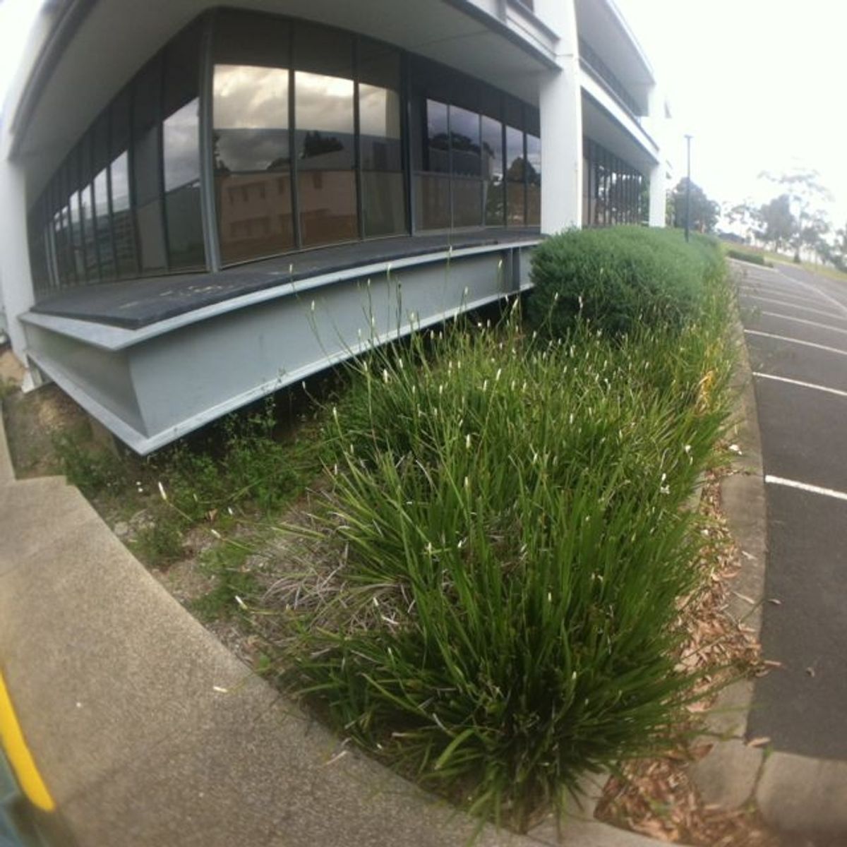 Windowsill gap skate spot