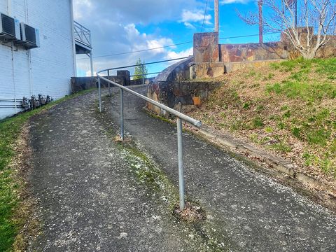 Central Springs Rail photo 3