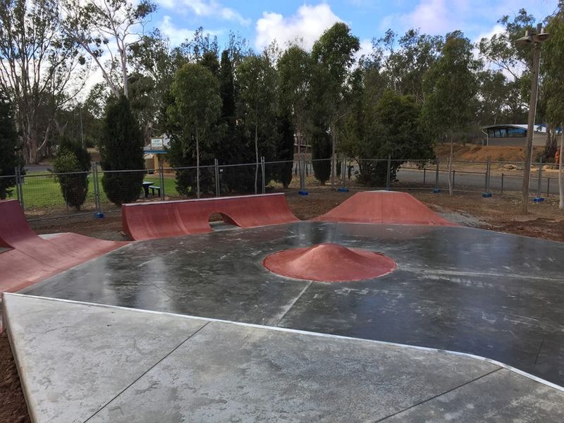 Charlton Skatepark