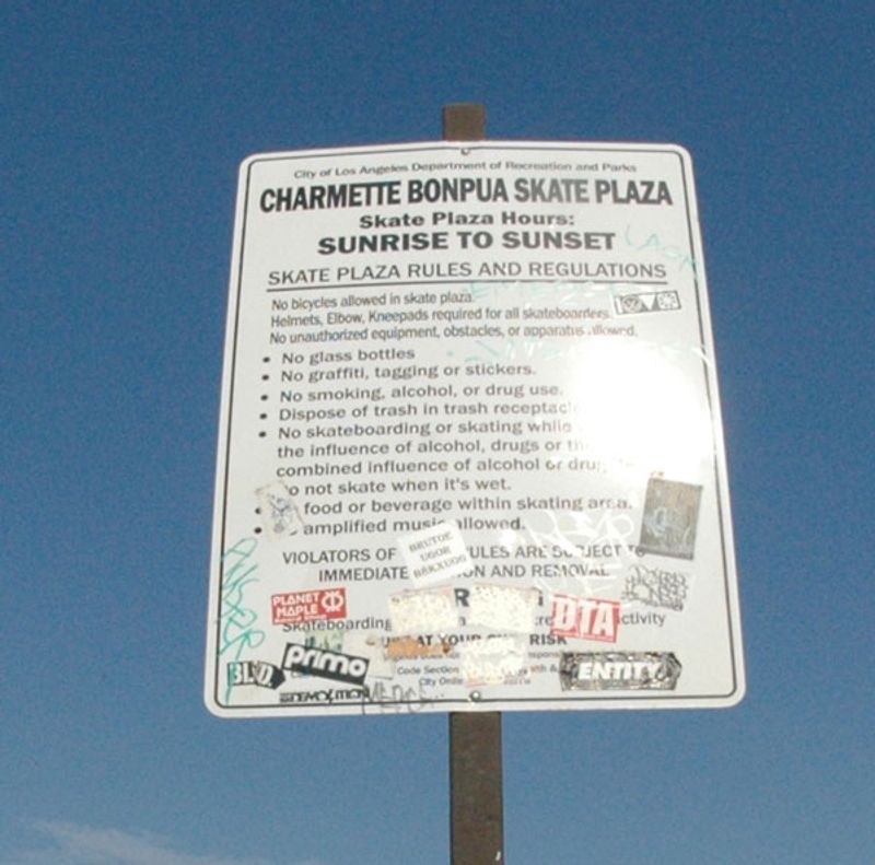 Charmette Bonpua Skatepark