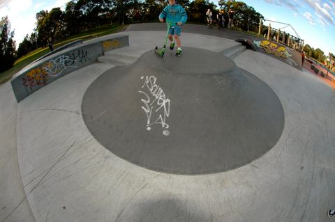 Chelsea New Park photo 9