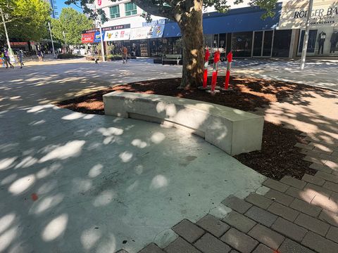 Civic Curved Ledge photo 2