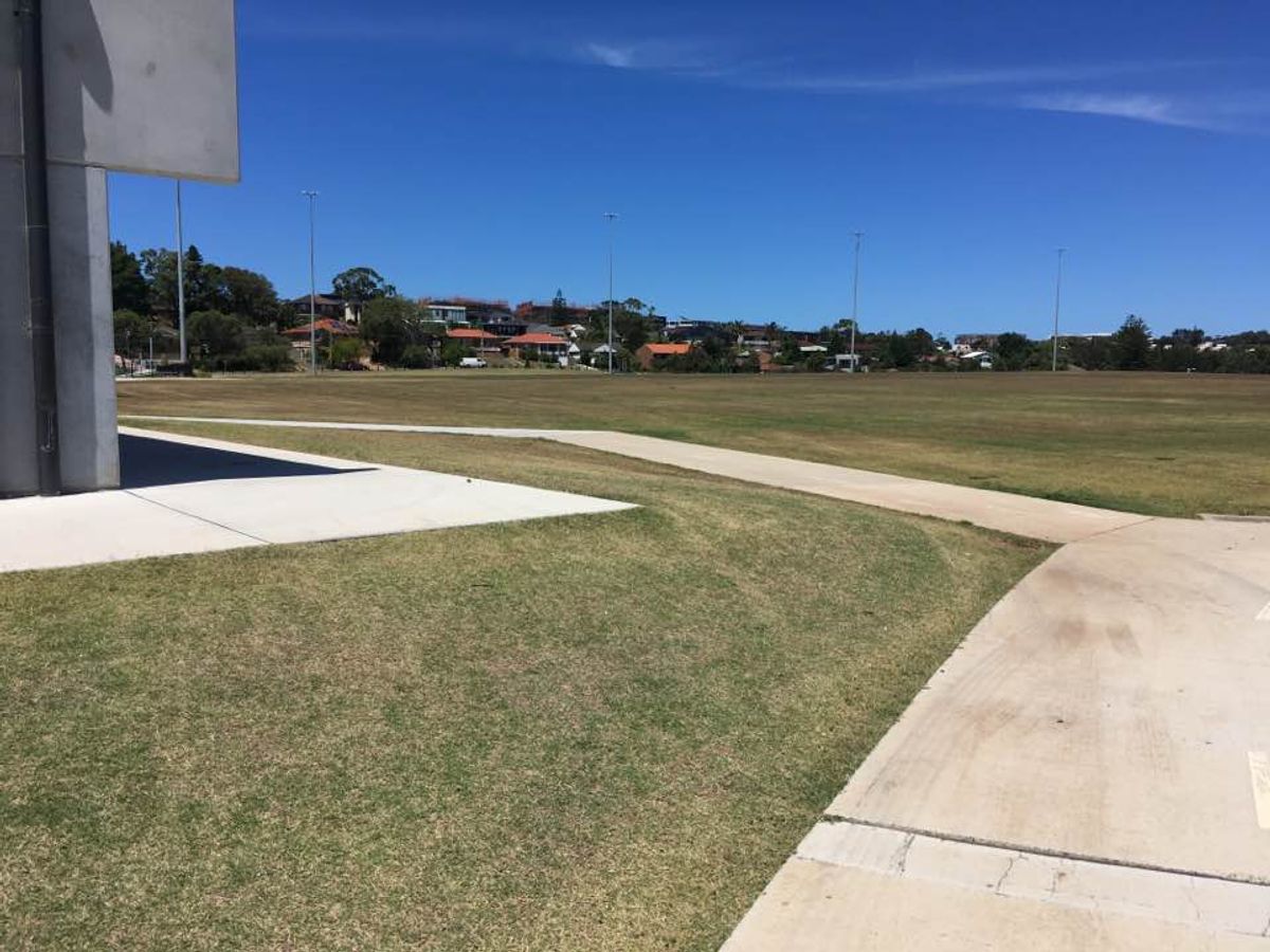 Chifley Grass Gap skate spot