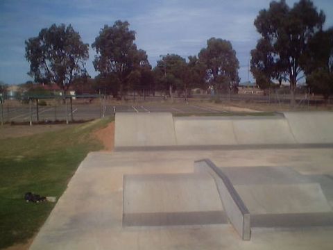 Cleve Skate Park photo 2