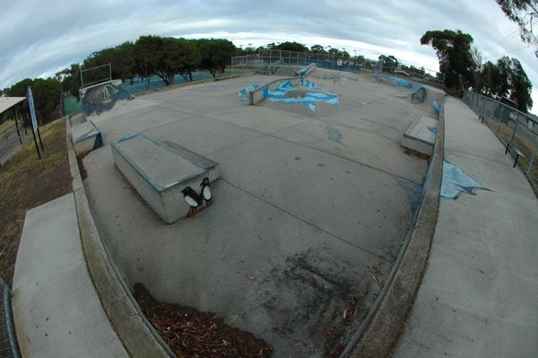 Clifton Springs Skatepark