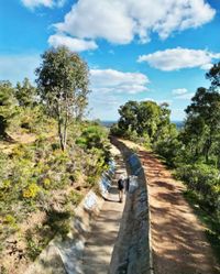 Contour Ditch
